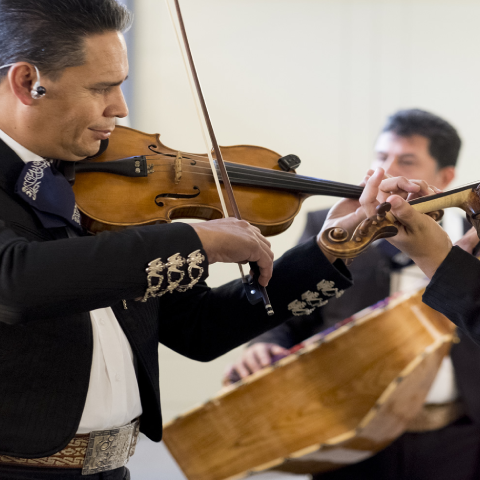 mariachis en la Colonia Jardines del Pedregal