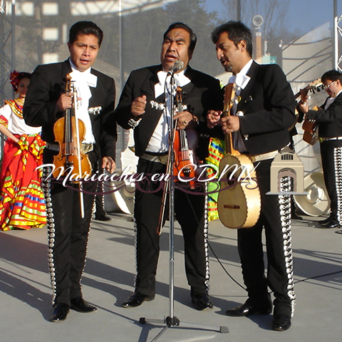mariachis en la Ampliación Tejalpa