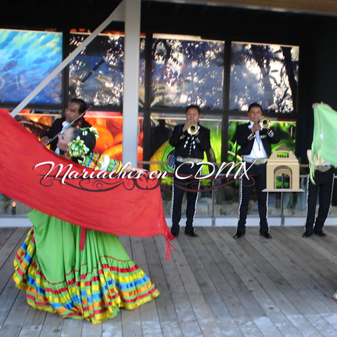 mariachis en la Colonia Ilhuicamina