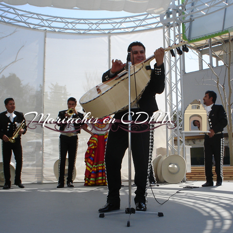 mariachis en la Colonia Pozo del Venado